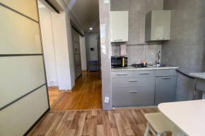 2-room apartment Tynystanov 231